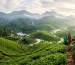 Places to Visit in Munnar for Nature Lovers (1)